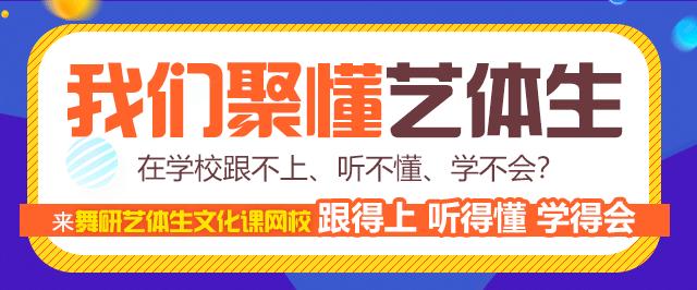 艺考音乐专业怎么考,艺考音乐美声怎么学习