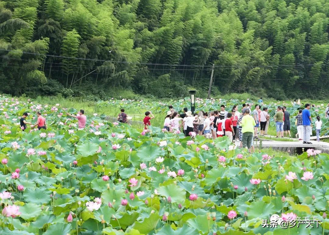 安吉旅游区,安吉深度游