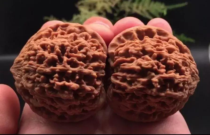 什么样的核桃漂亮,什么样的核桃不苦涩