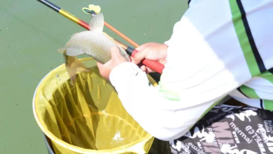 怎样通过浮漂判断鱼钩的位置,浮漂调钓最佳位置