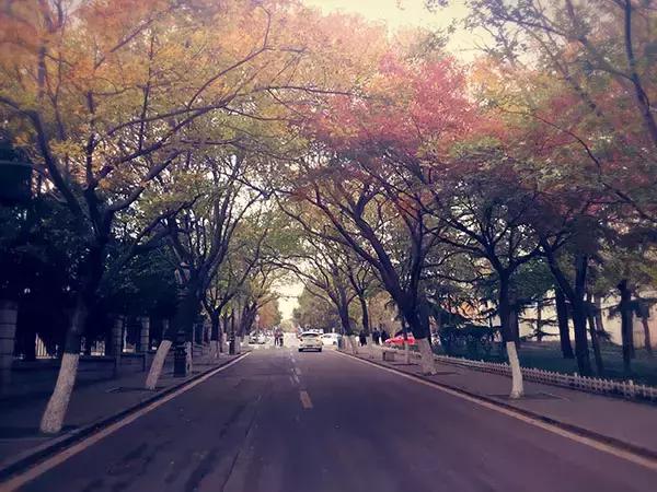 青岛八大关每个楼的故事,今天的青岛八大关