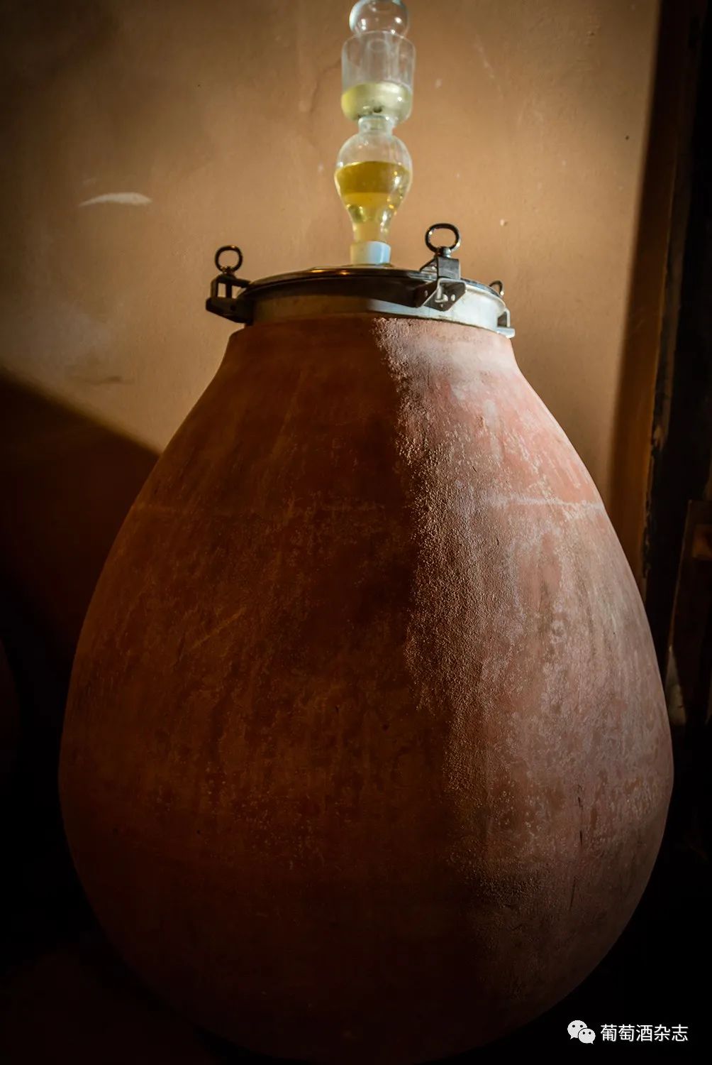 对蜜雪冰城产品的认知,露喜龙产区