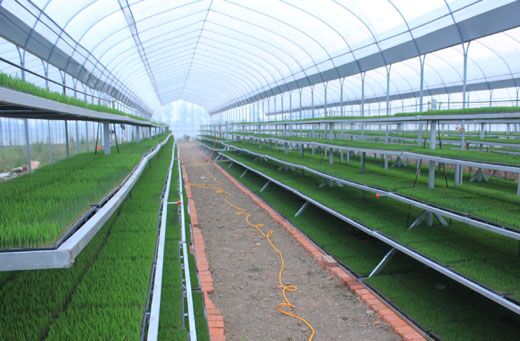 个人创业致富好项目怎么操作,适合农村创业的最新致富项目