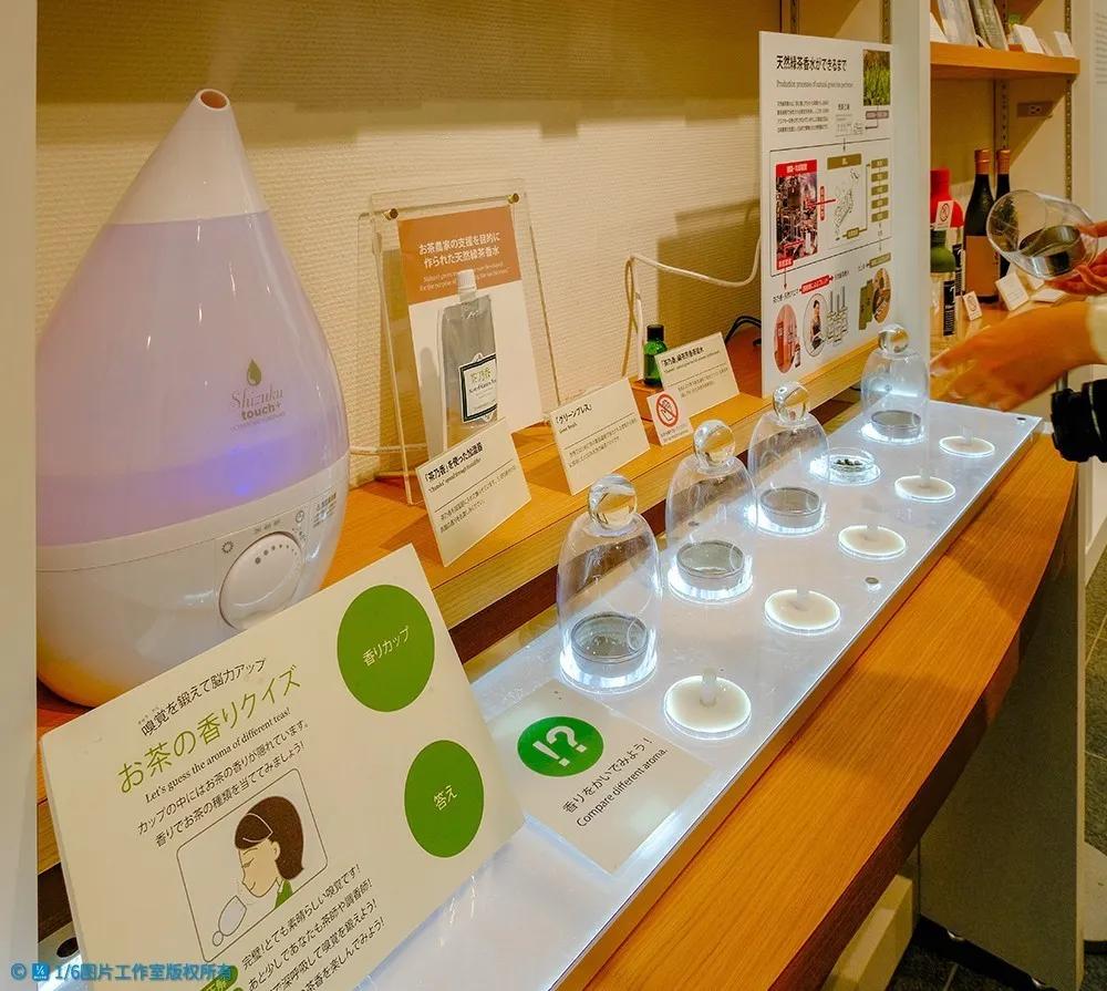 日本的茶博物馆,日本茶之都茶道体验