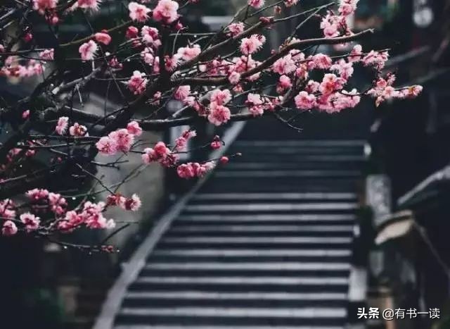 读懂南怀瑾先生经典的22句话,南怀瑾三句话说透了人生最高境界