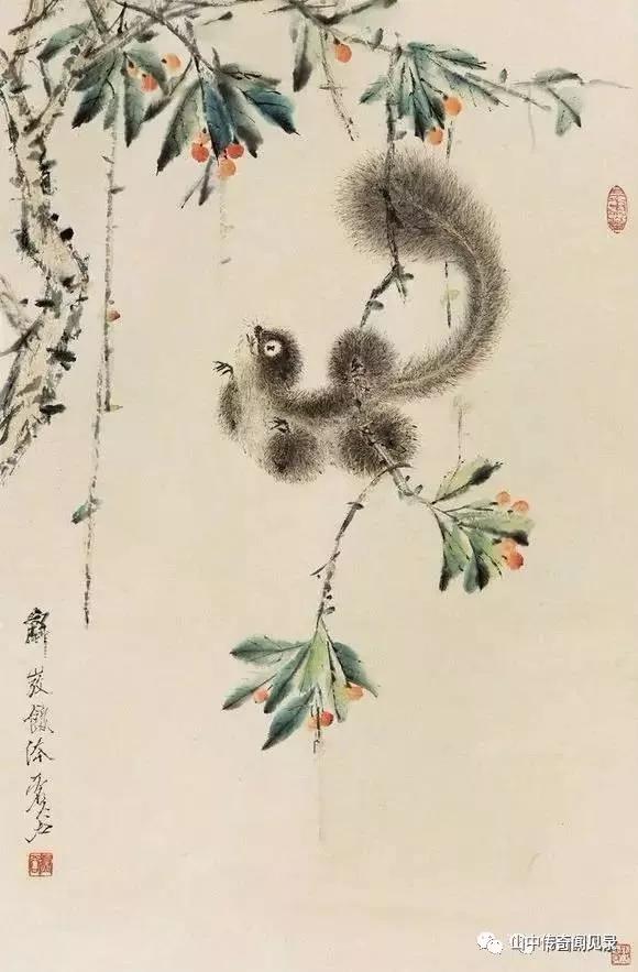 山间偶遇松鼠,巨大松鼠野生动物