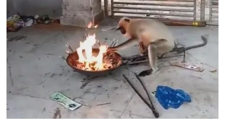 歇斯底里英文原意,歇斯底里这个成语怎么来的