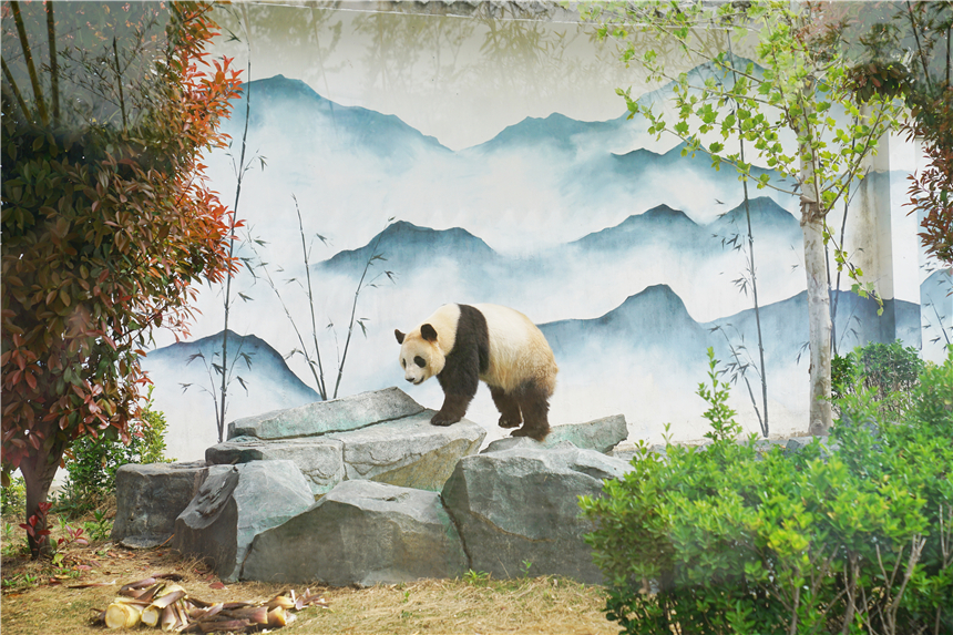 我和宿州有个约会，一场花事，一次慢旅行，探寻最烟火的宿州味道