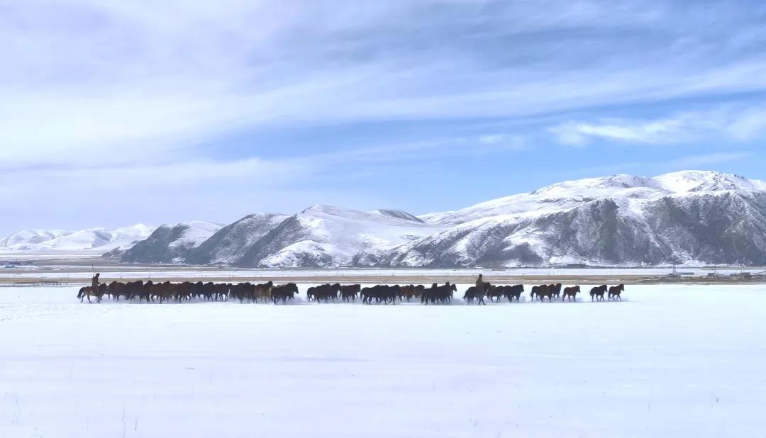 兵哥哥骑马飞奔,骑马的兵哥哥照片