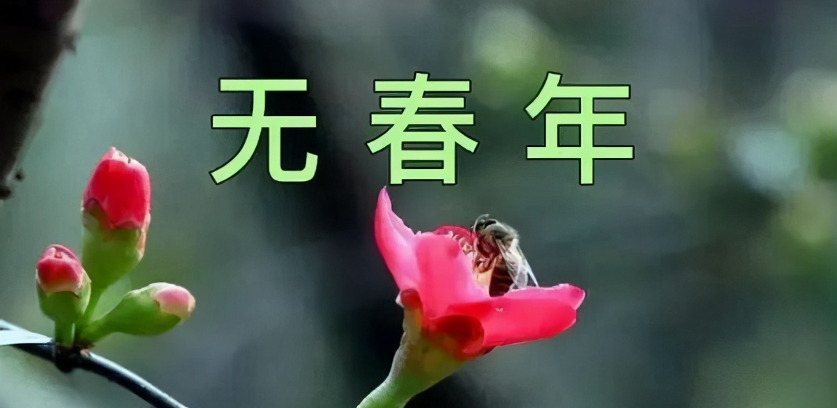 闰七不闰八为啥不能闰八月,闰二月和闰八月是不好吗