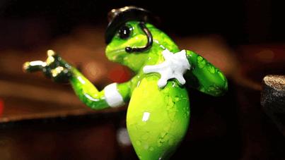 两人开店一年盈利不到3万,开牛蛙店赚六个亿