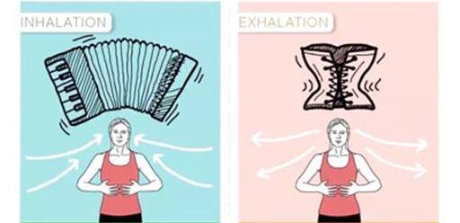 练完腹肌腰痛,为什么练腹肌也会感到腰酸