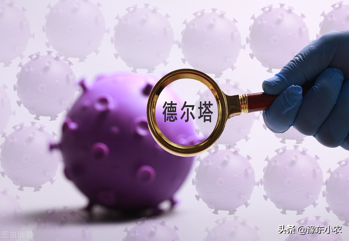 疫情过后大蒜价格预测表,新型冠状肺炎对大蒜价格有影响吗