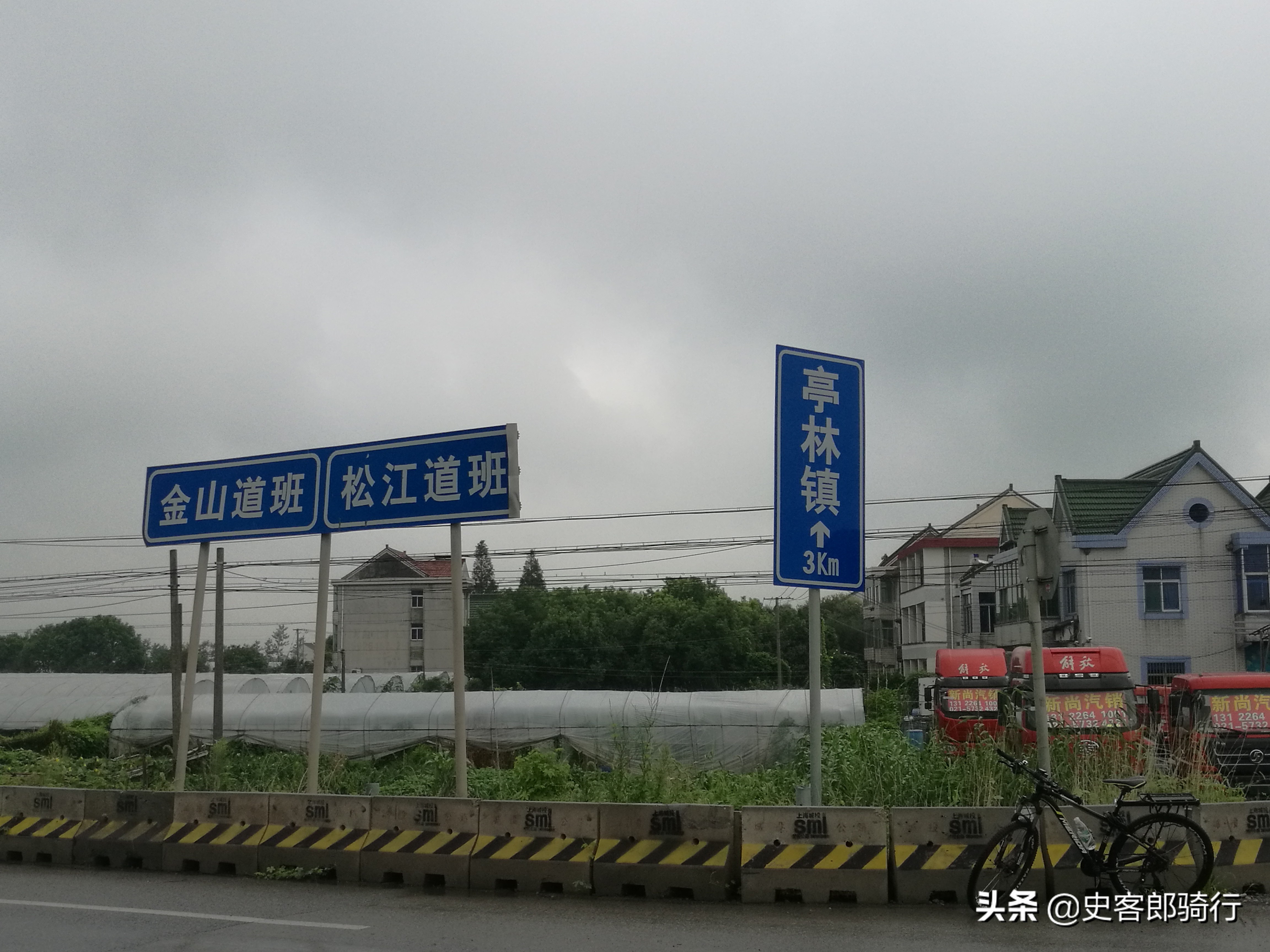 上海骑行看樱花,坐车看上海夜景