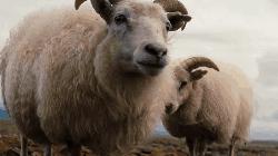 换季整理清洗外套羽绒服,夏季大衣羽绒服怎么洗干净