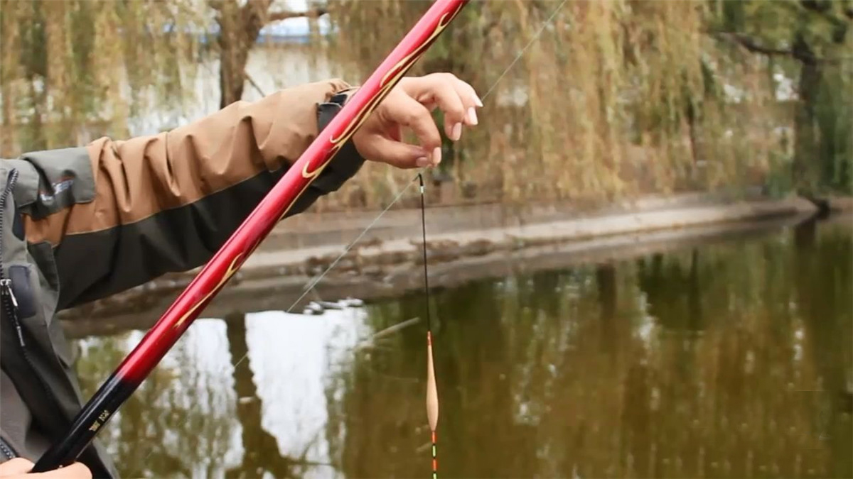 钓鱼怎么防鲫鱼掉鳞片,钓鱼钓到鳞片