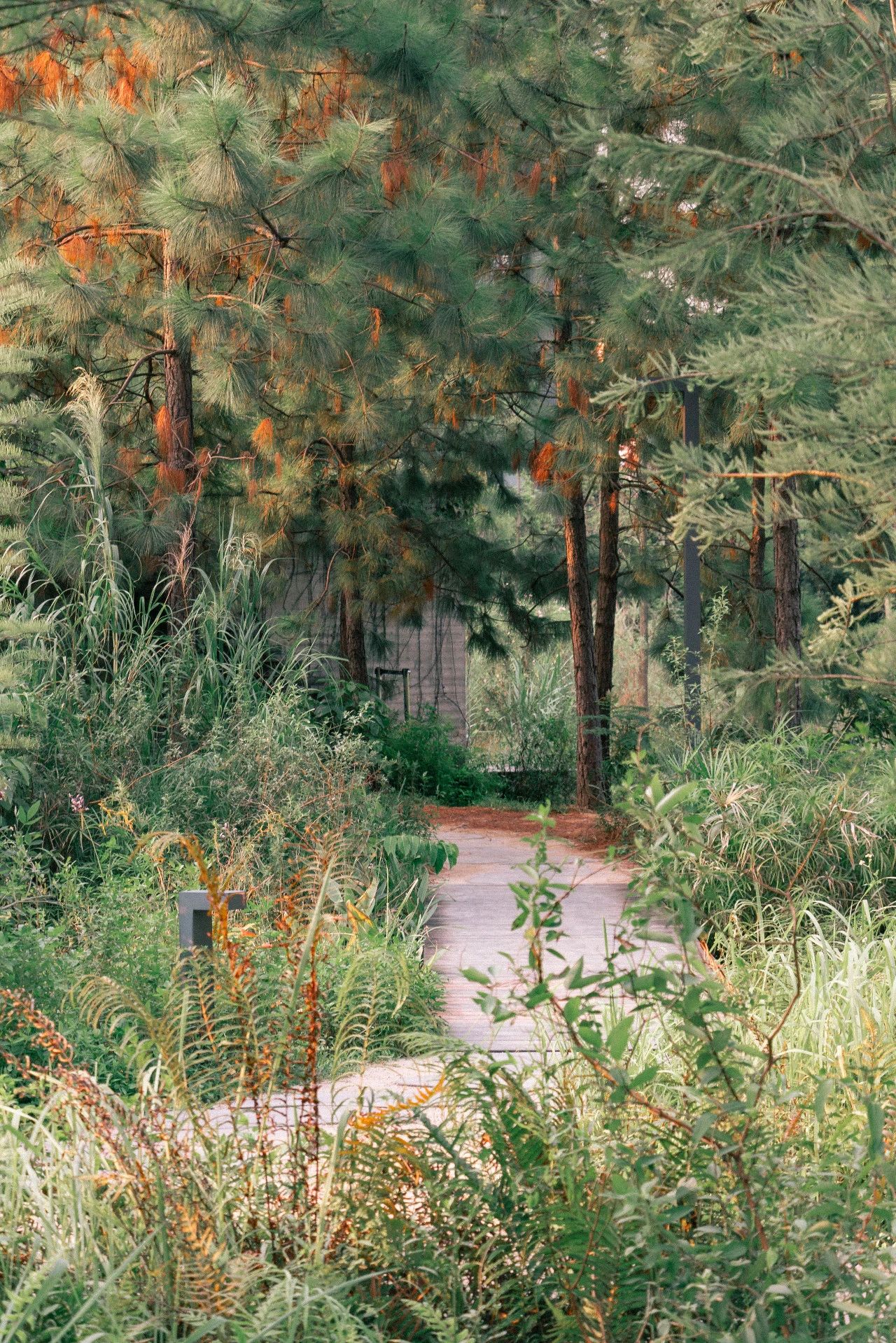 深圳十个小众打卡地,在深圳这些地方既小众又值得打卡