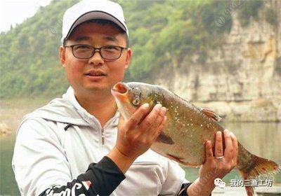 所有钓鱼知识图解图片,还有哪些关于钓鱼的小知识