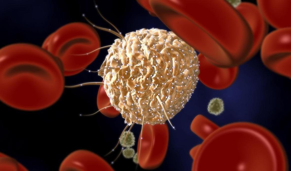 治愈癌症还有多远？科学家成功标记肿瘤干细胞，锁定“癌症之源”