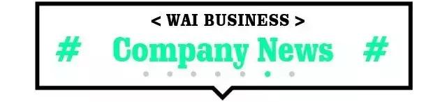 稳外贸稳外资政策有哪些,稳外贸政策加力