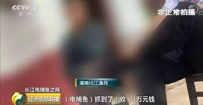 刑法规定的禁止使用捕鱼方法,非法捕鱼为什么屡禁不止