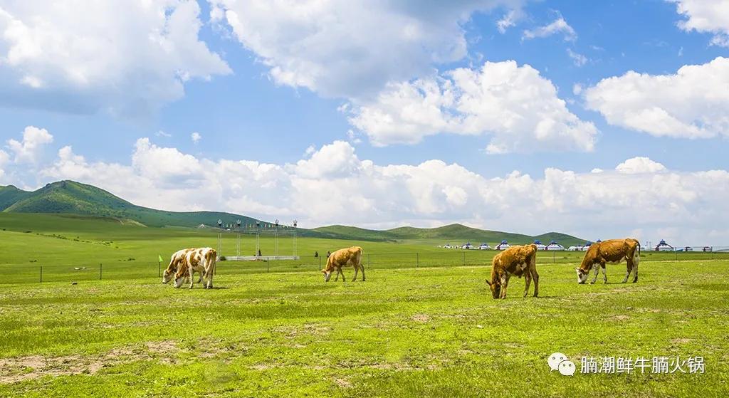柳州最值得去的火锅,柳州吃火锅推荐