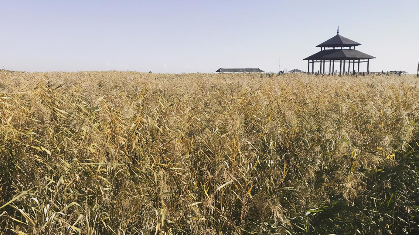 辽宁省盘锦市有什么区,浅谈全国各省份