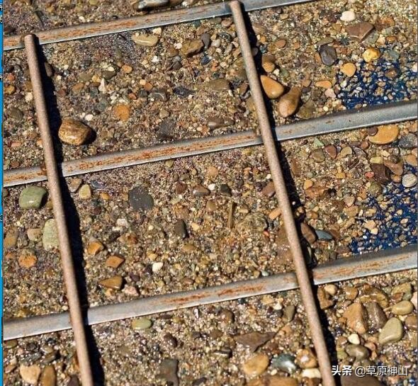 涔屽叞瀵熷竷娣橀噾,娣橀噾瀛愮殑鏁呬簨瑙嗛