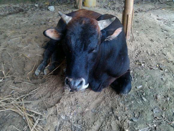 钓鱼打窝怎么打最好,钓鱼打窝怎么打比较好