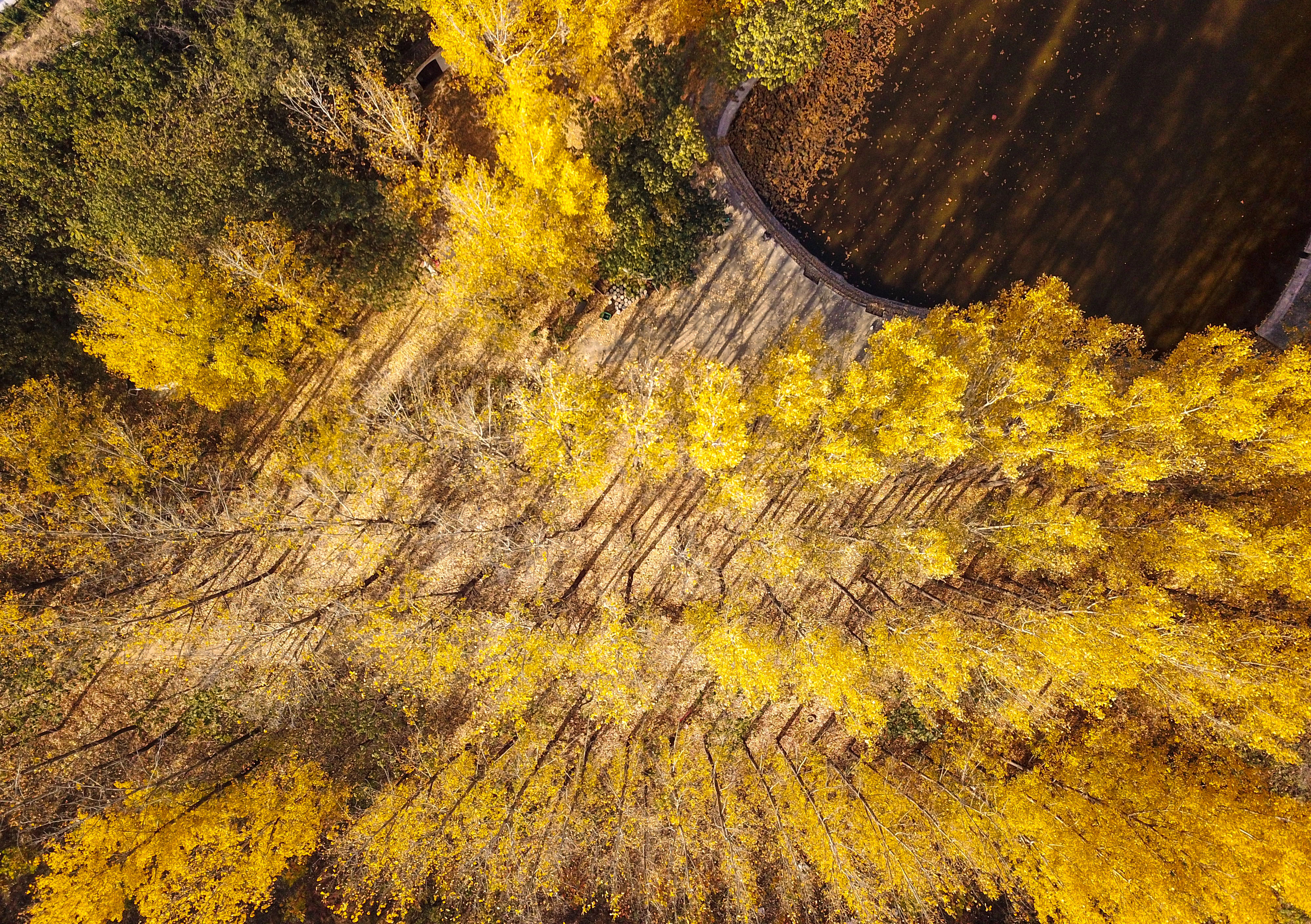 鍥藉簡鍋囨湡缁堜簬鍑哄彂,鍥藉簡鍋囨湡濡傜害鑰岃嚦