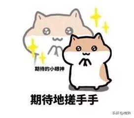 海虞高中省中分校好不好,海虞高中最新消息