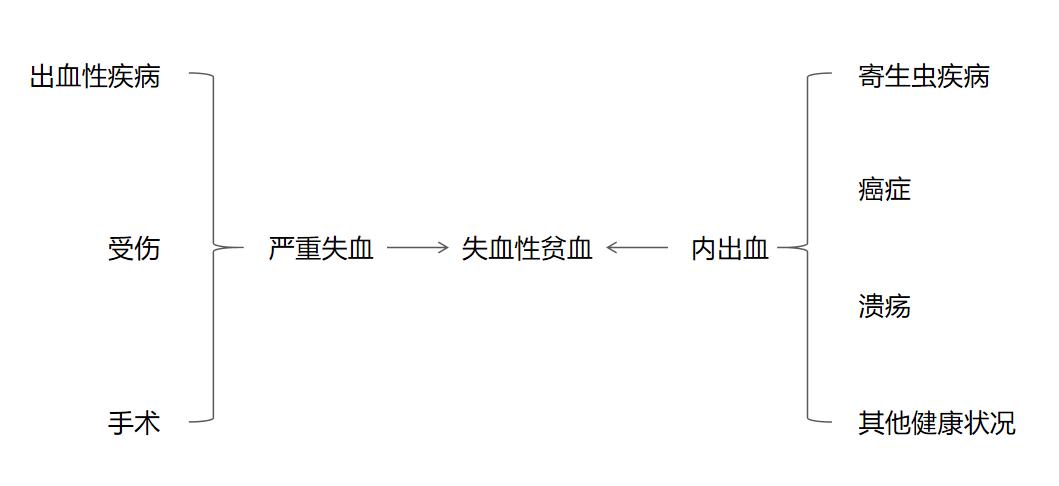 狗狗突发严重贫血,狗狗拉稀几天贫血