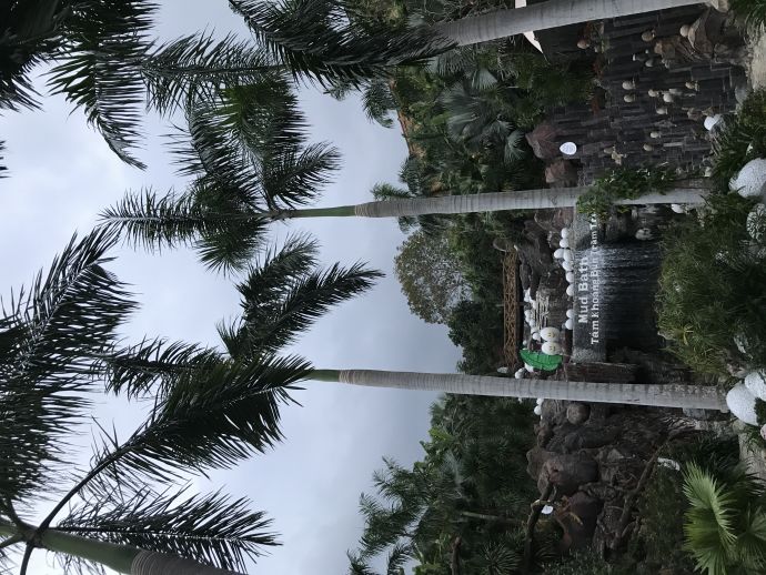 越南胡志明美奈6天自由行,胡志明美奈大叻芽庄怎么游玩