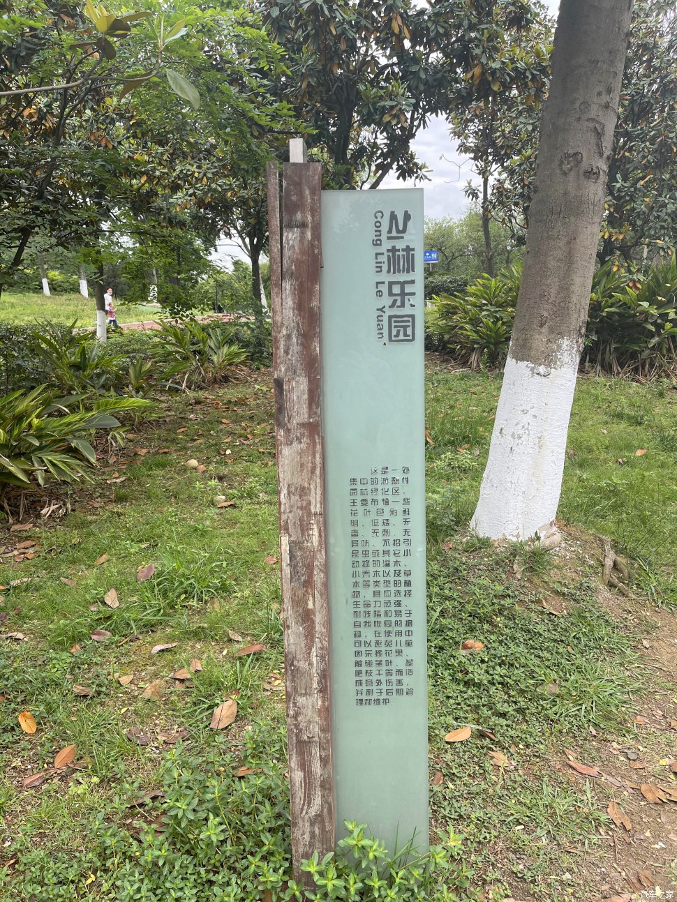 成都人会玩的景点,成都凤凰山公园可以爬山吗