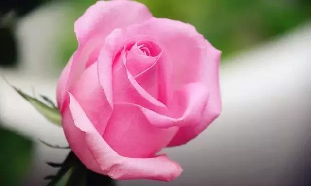 每天学习一点点女性小常识,每天学习一点点科普一下