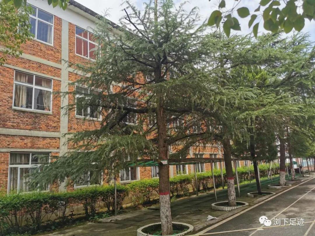 江西东方红小学,江西莲花小学