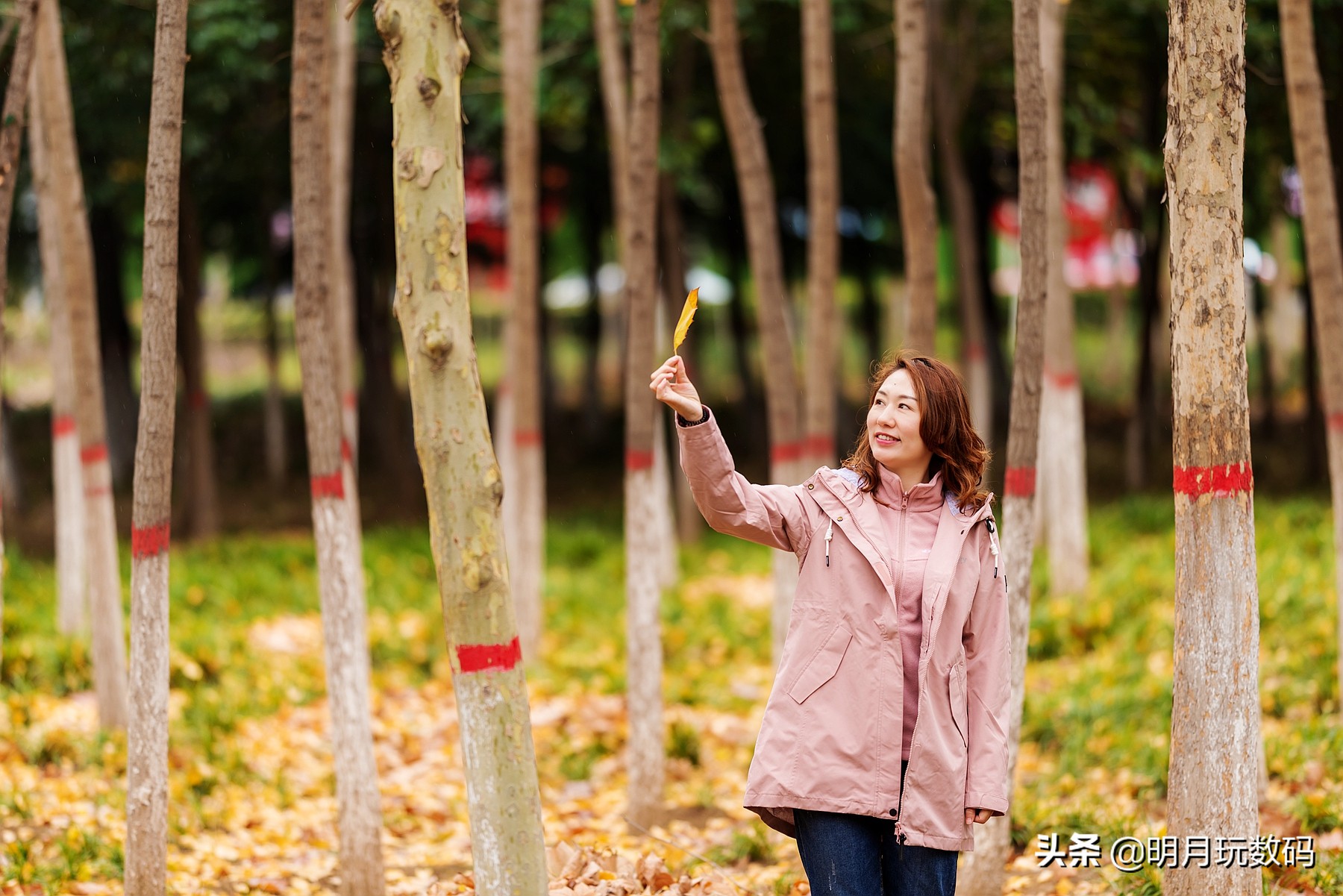 discoveryactive冲锋衣,什么牌子的冲锋衣时尚减龄好看