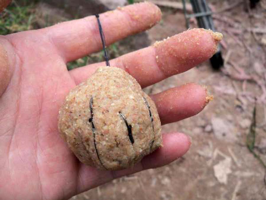 海竿钓不到鲤鱼怎么回事,海竿钓不到鲢鳙是什么原因