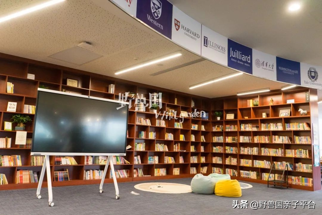 一年20万学费的清澜山学校,都在学些什么?