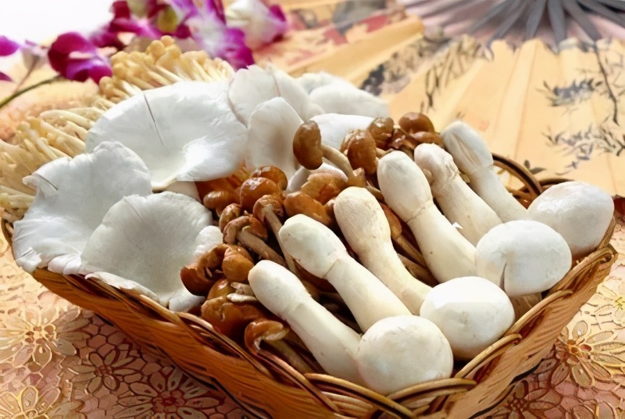 科学养育胎儿,科学孕育新生命护佑母婴安全健康