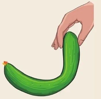 6步在阳台上栽种黄瓜，解开黄瓜生长过程中遇上的栽培难题