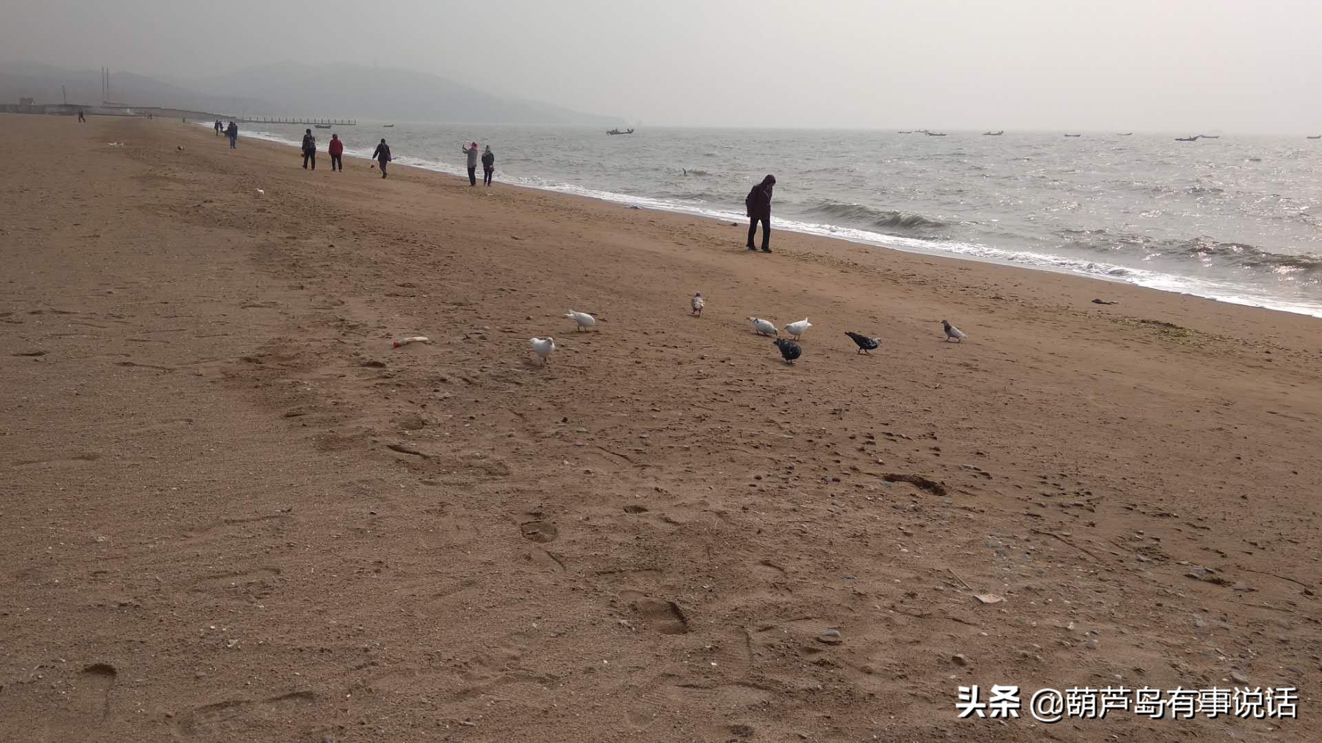 葫芦岛海滩和龙湾海滨,葫芦岛龙湾海滨风景区夜景