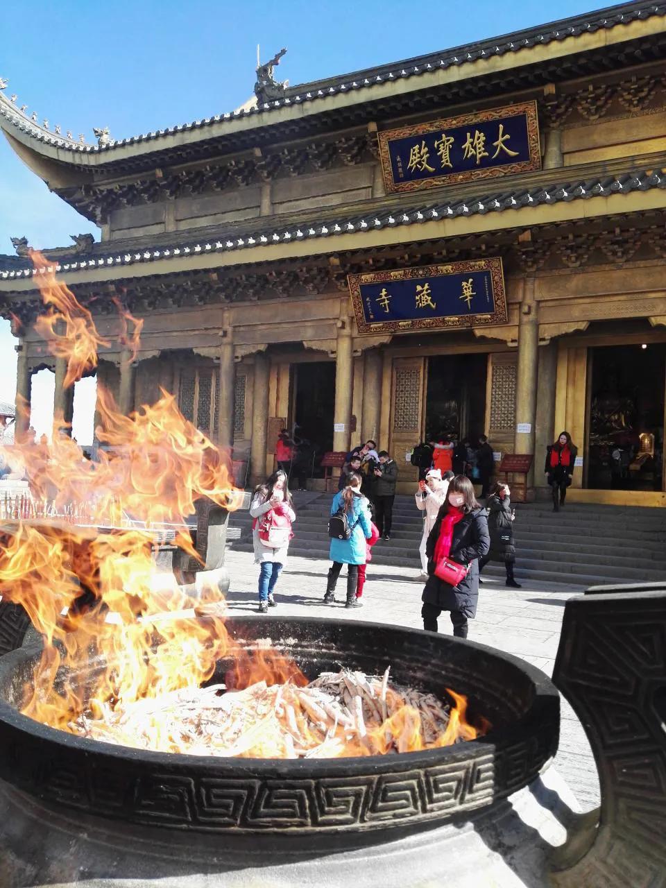 峨眉山有什么灵猴,峨眉山灵猴在哪