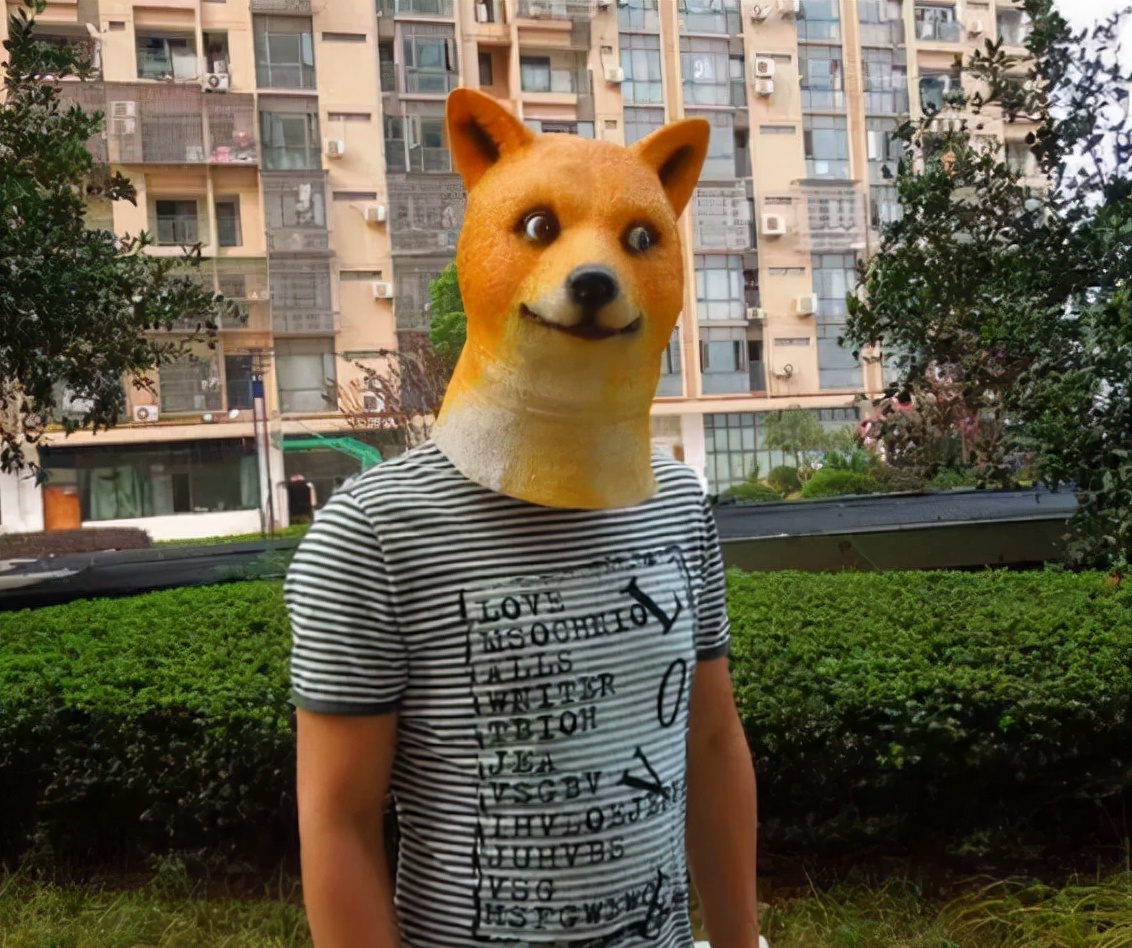 避免狗咬自救小妙招,如何防止被狗狗咬