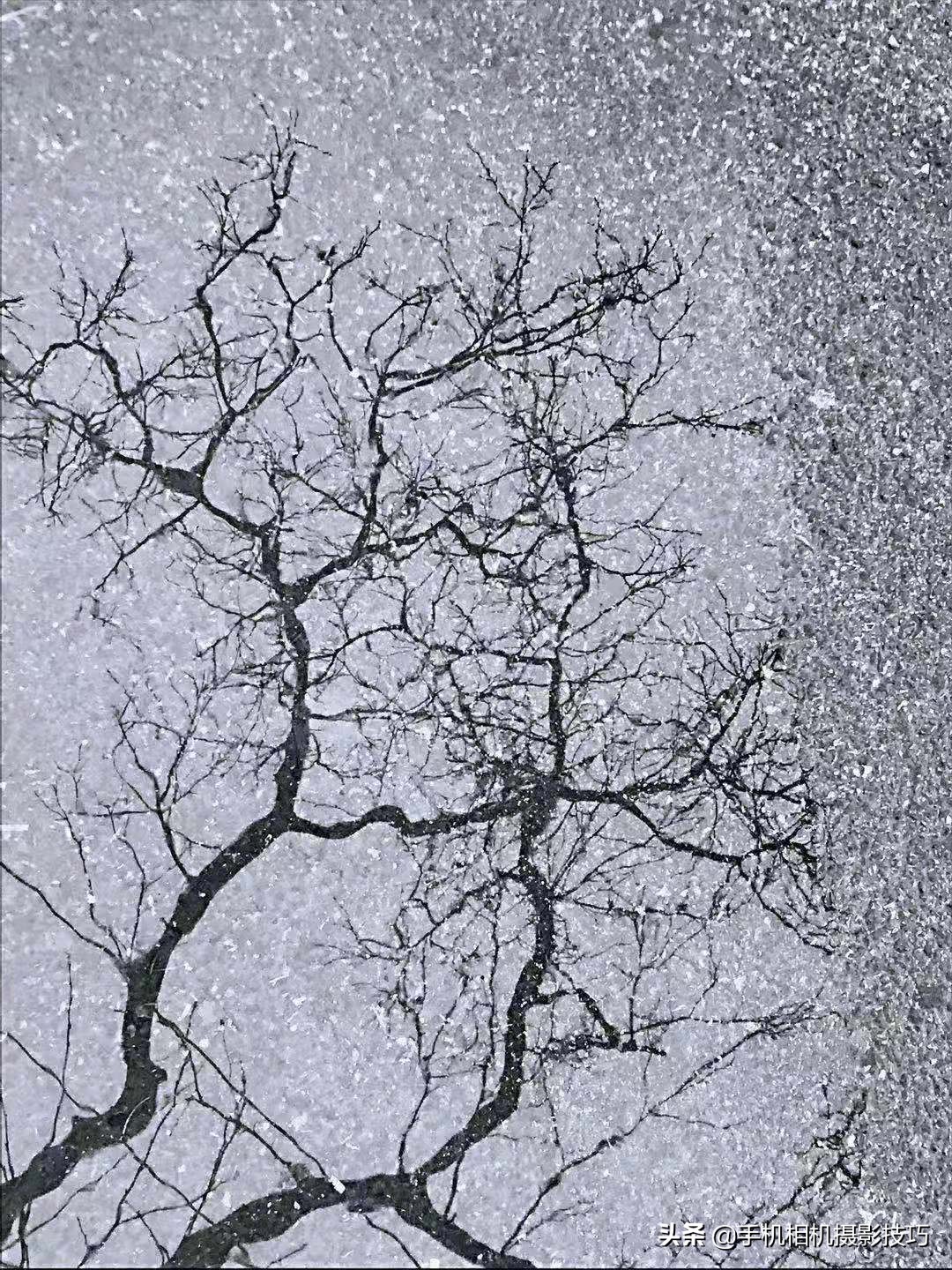 一些普通人拍出的好看照片教程,15张照片高级感