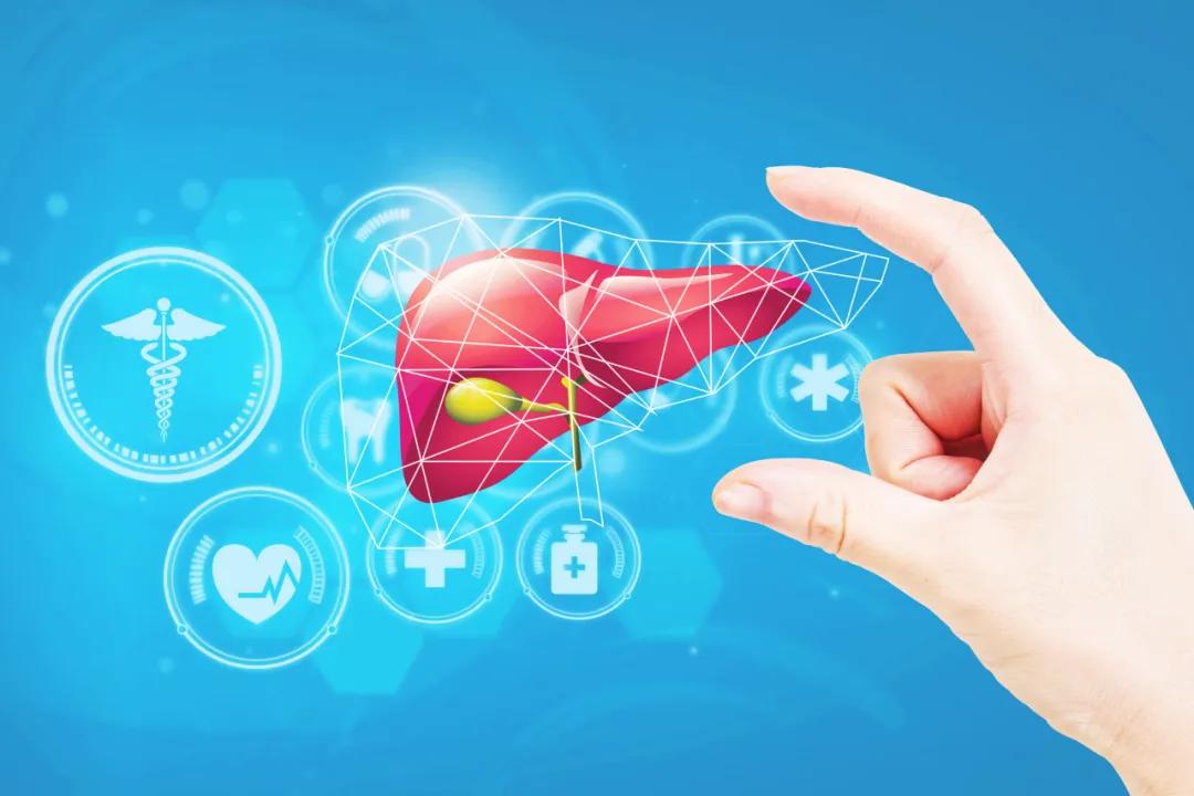 丙肝被称为隐匿的杀手,隐形杀手对于慢性肾炎你了解多少