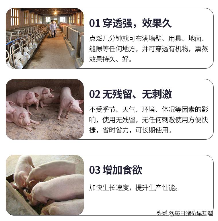 苍术种植杀菌用药,苍术有病虫害用啥药