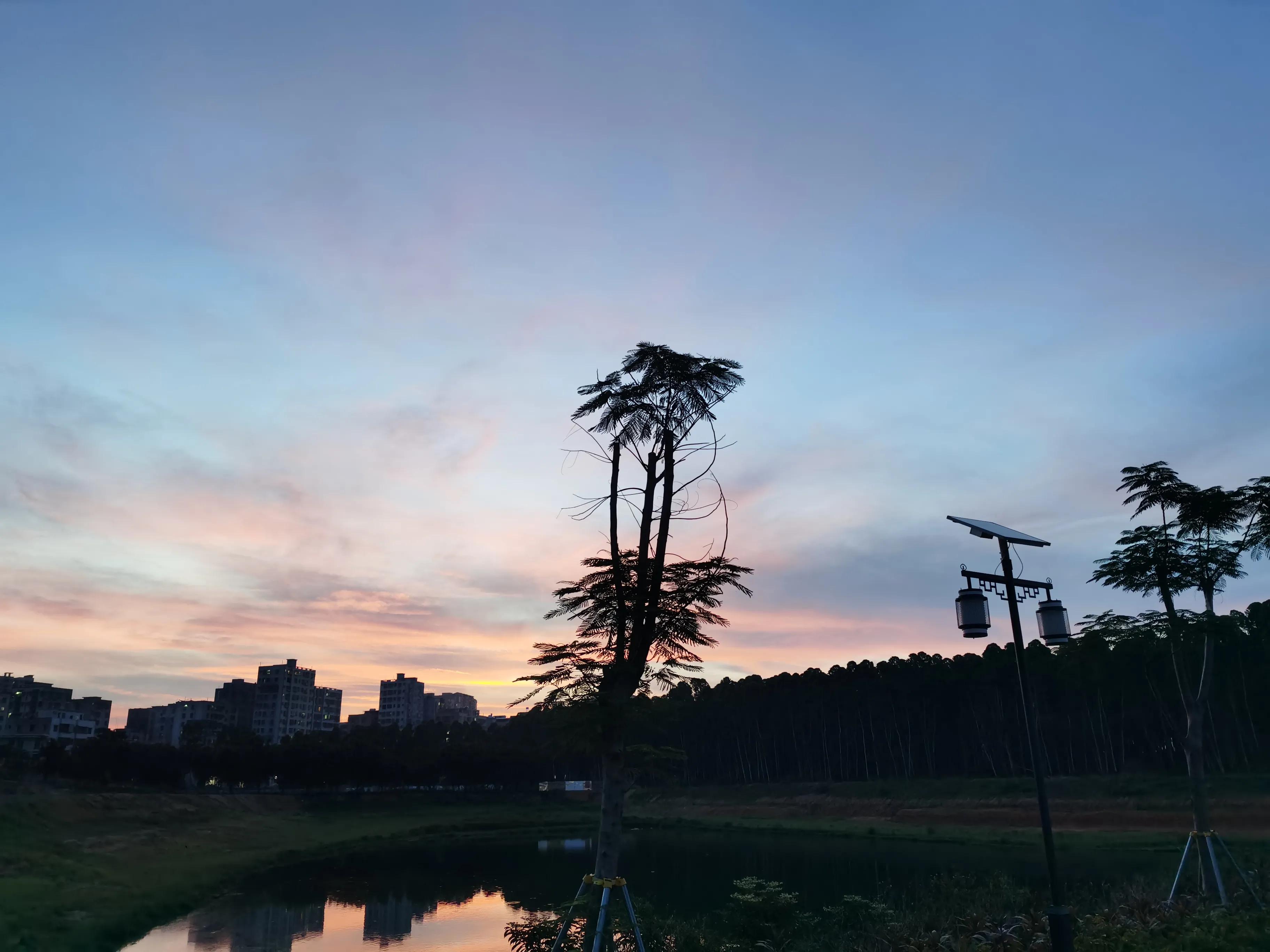 一个游子的心声和感悟,一个游子对家乡母亲的思念