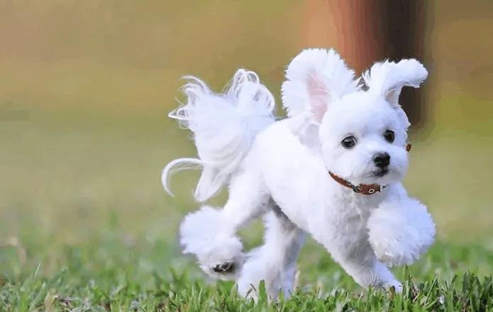 12岁孩子自律21天训练方法,如何提高孩子学习的自控能力案例