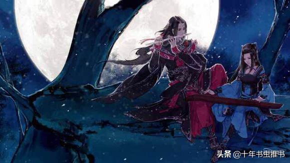 十年以上书虫推荐,十年书虫小说推荐